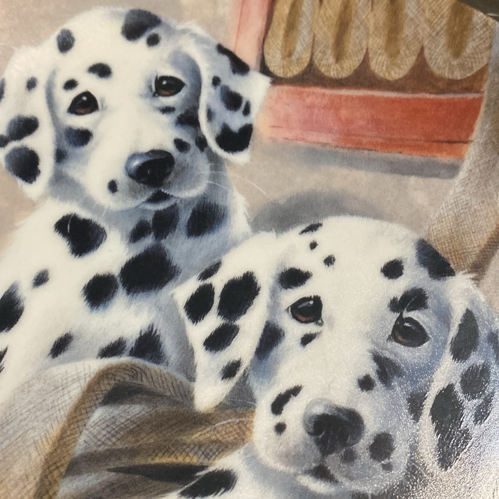 We’ve been spotted “ Dalmatian Decorative Plate